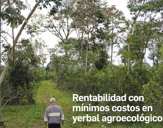 Una persona parado al lado de un &aacute;rbol

El contenido generado por IA puede ser incorrecto.